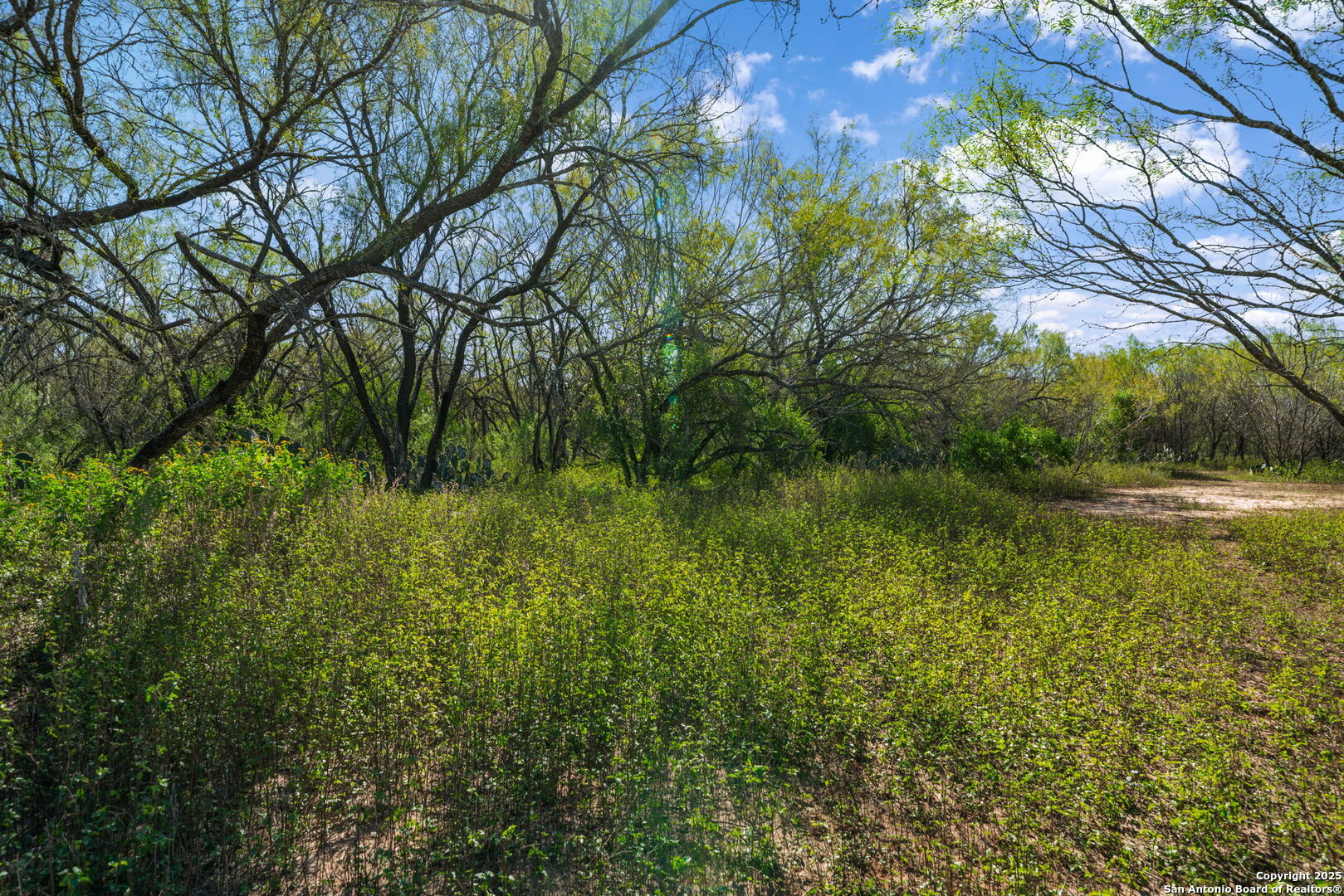14350 Interstate 35, Von Ormy, TX, 78073 | 1919831 | Realty Texas LLC