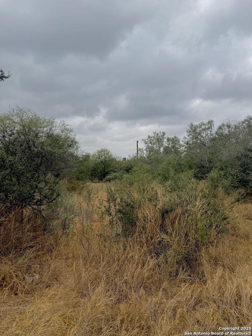 103 oleander, Cotulla, TX, 78014 | 1924823 | Realty Texas LLC