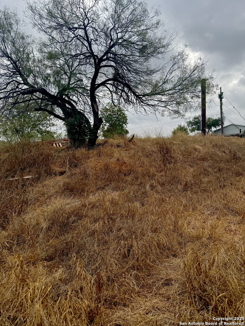103 oleander, Cotulla, TX, 78014 | 1924823 | Realty Texas LLC
