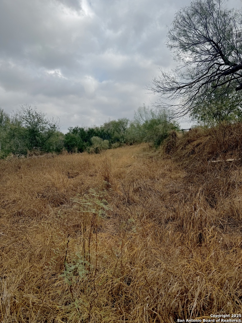 103 oleander, Cotulla, TX, 78014 | 1924823 | Realty Texas LLC