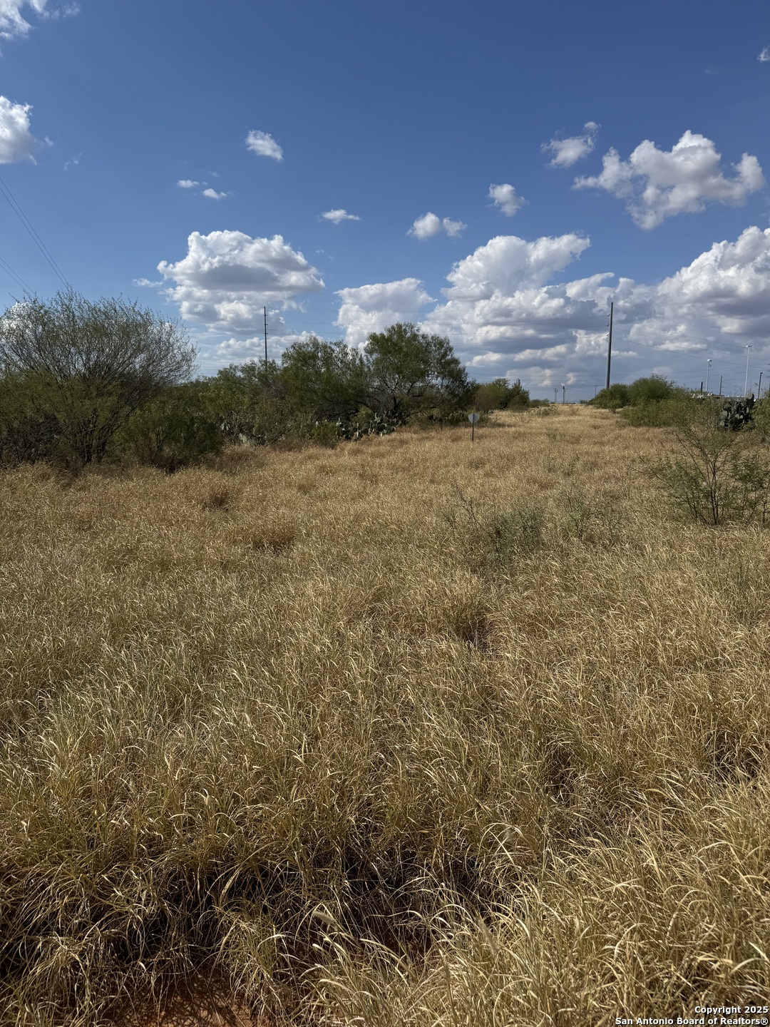 2438 Interstate 35, Cotulla, TX, 78014 | 1925346 | Realty Texas LLC
