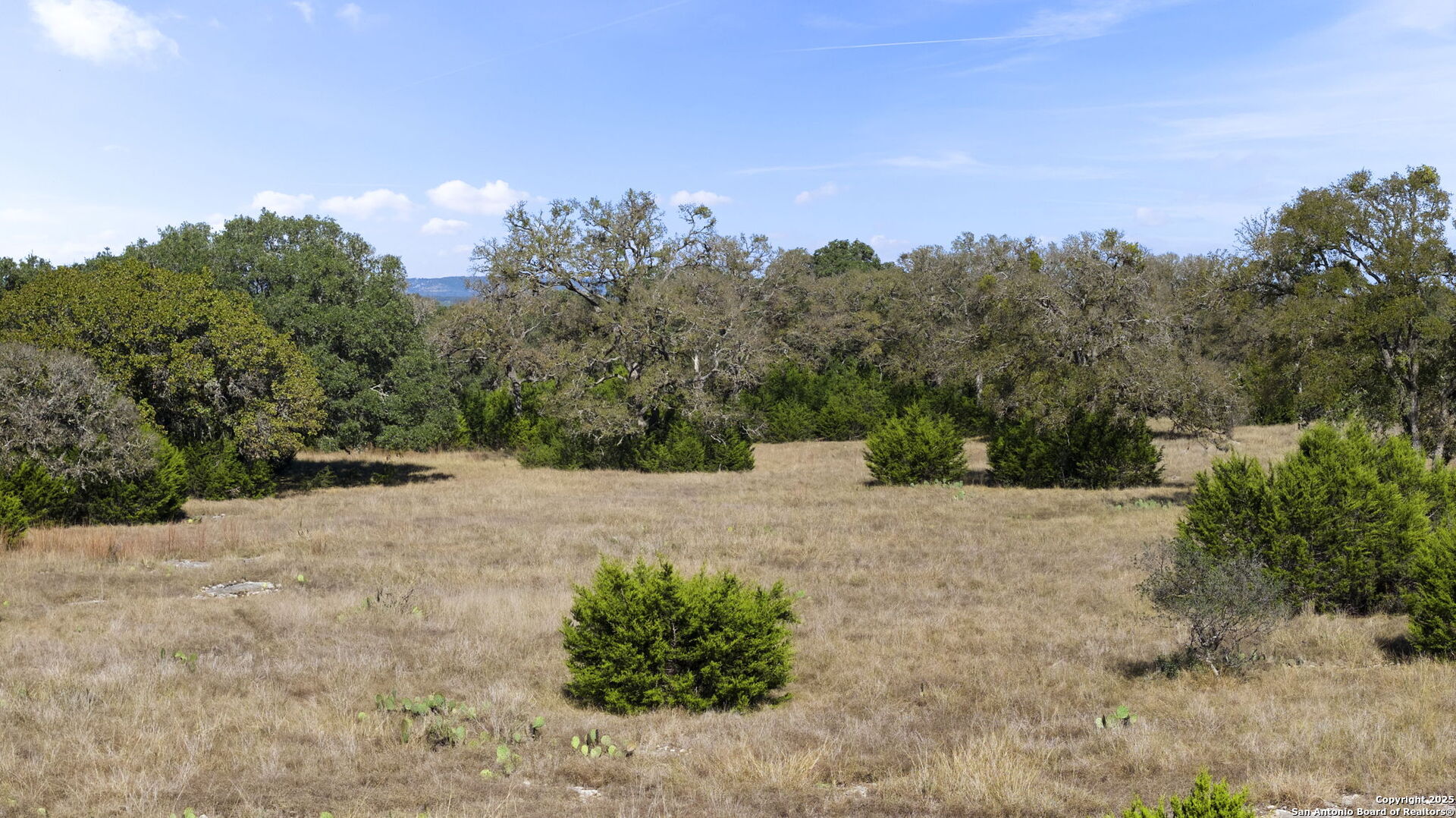 203 Greystone Circle, BOERNE, TX, 78006 | 1925756 | Realty Texas LLC