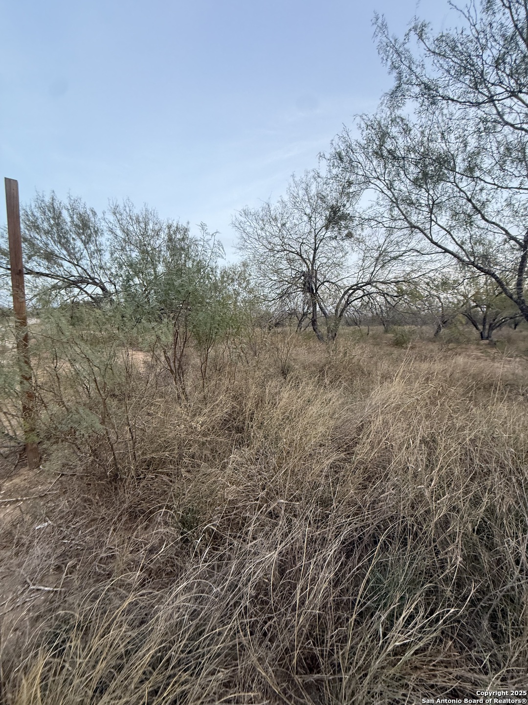 113 CR 2672, Devine, TX, 78016 | 1928310 | Realty Texas LLC