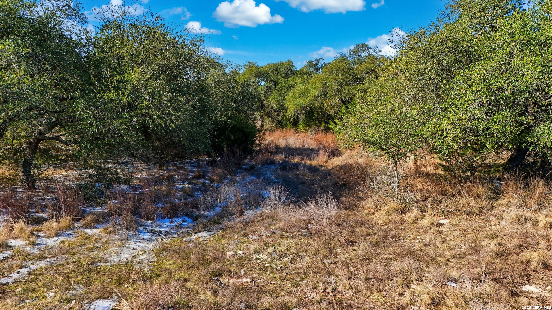 246 Dodder, Spring Branch, TX, 78070 | 1937471 | Realty Texas LLC