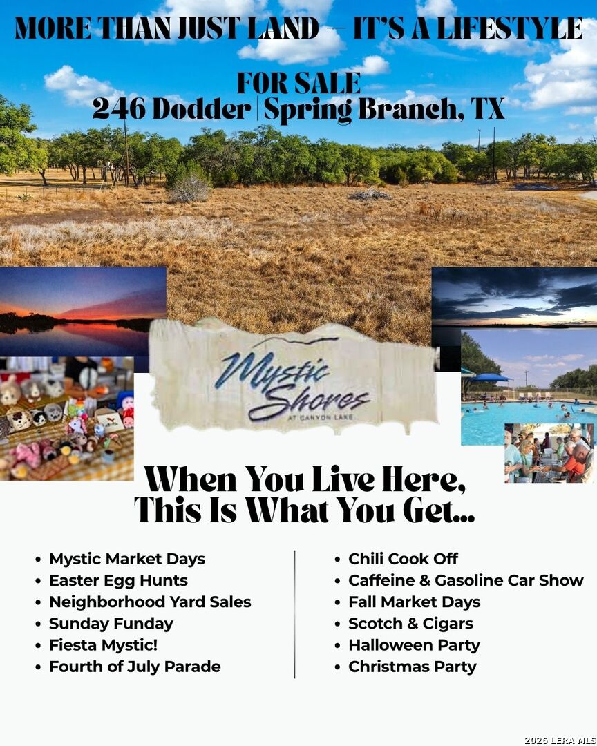 246 Dodder, Spring Branch, TX, 78070 | 1937471 | Realty Texas LLC