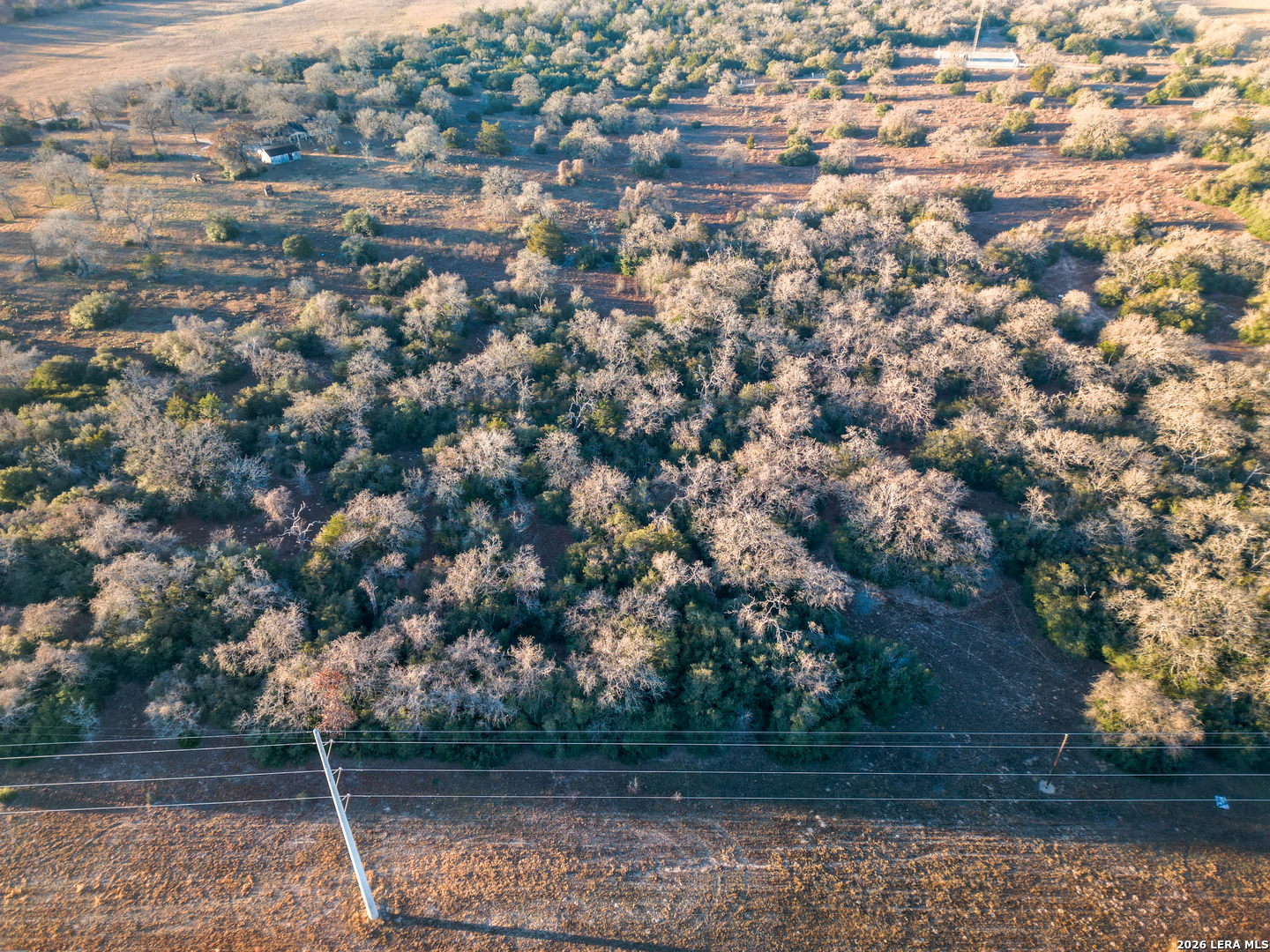 TBD Sandy Pine, Luling, TX, 78648 | 1940579 | Realty Texas LLC