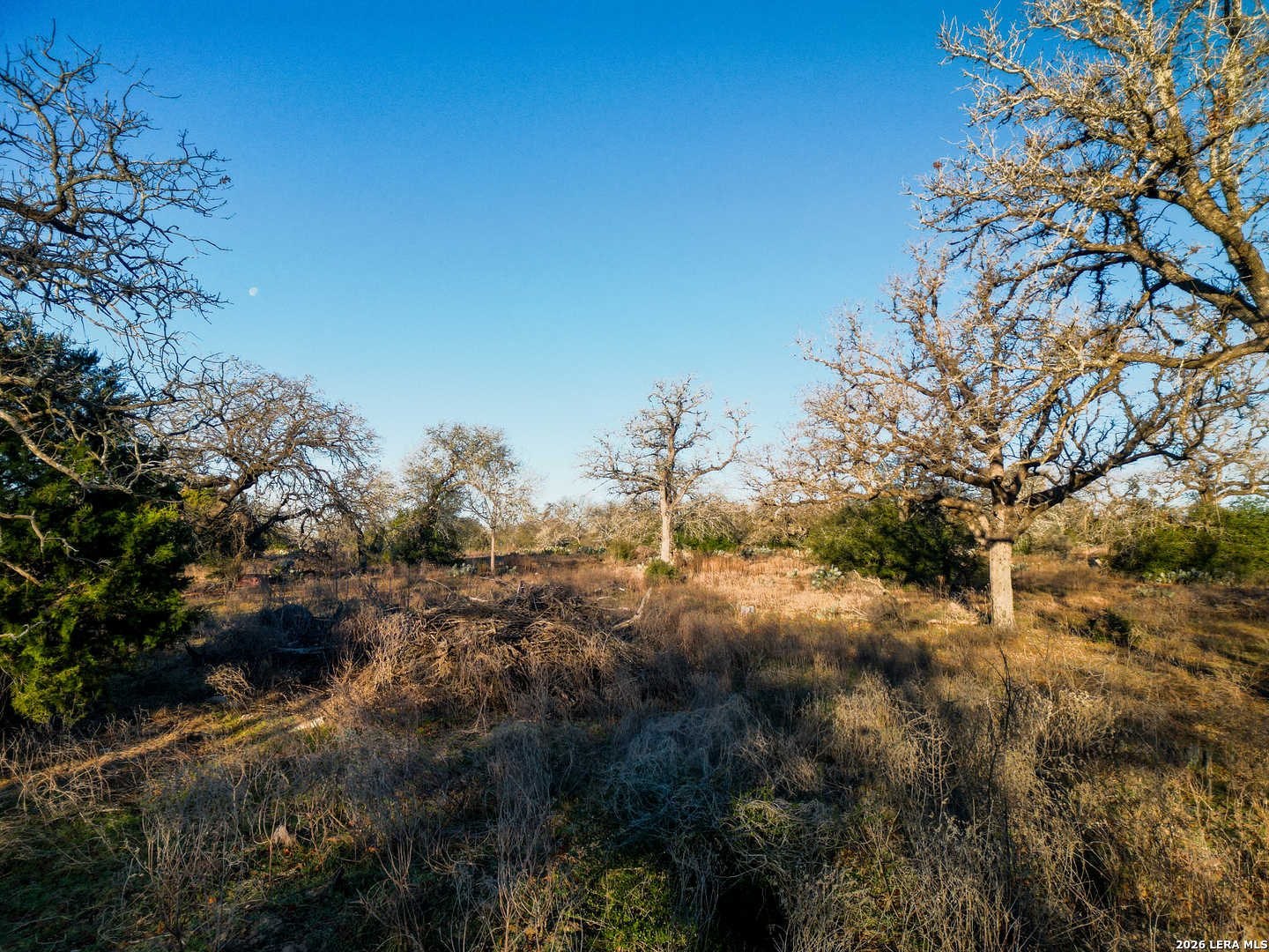 TBD Sandy Pine, Luling, TX, 78648 | 1940579 | Realty Texas LLC