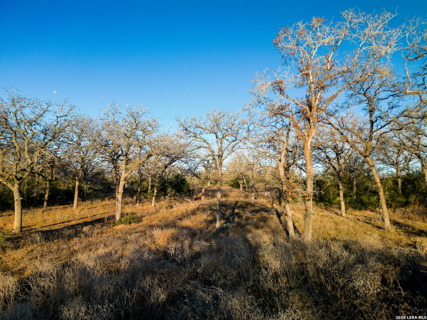 TBD Sandy Pine, Luling, TX, 78648 | 1940579 | Realty Texas LLC