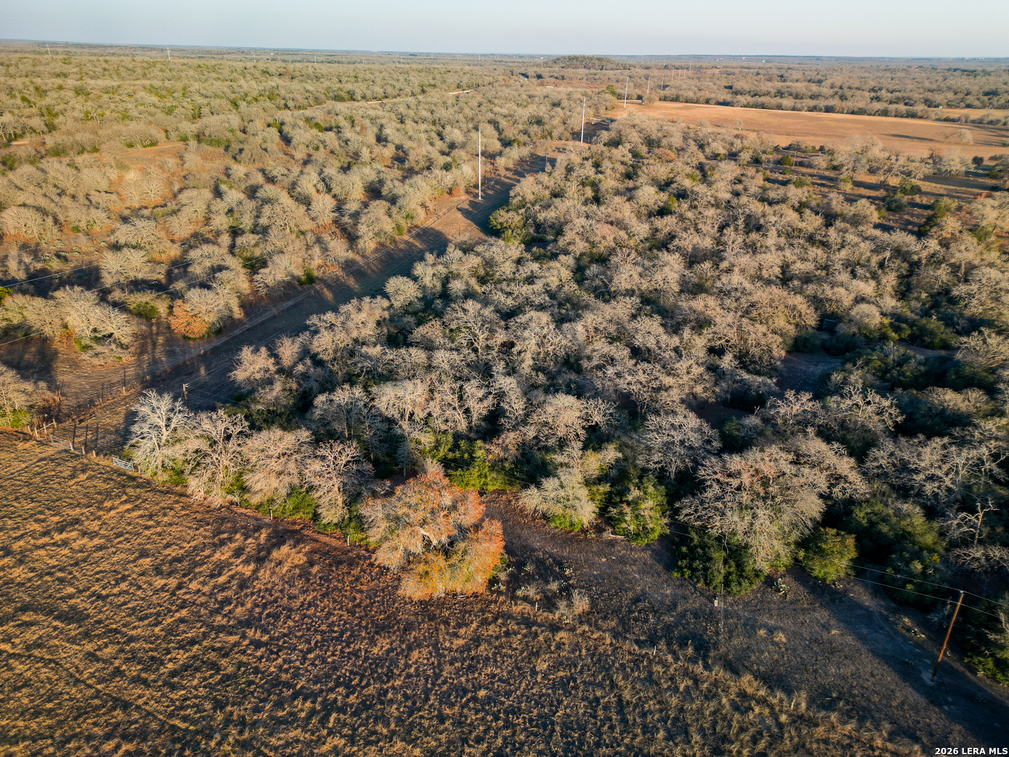 TBD Sandy Pine, Luling, TX, 78648 | 1940579 | Realty Texas LLC
