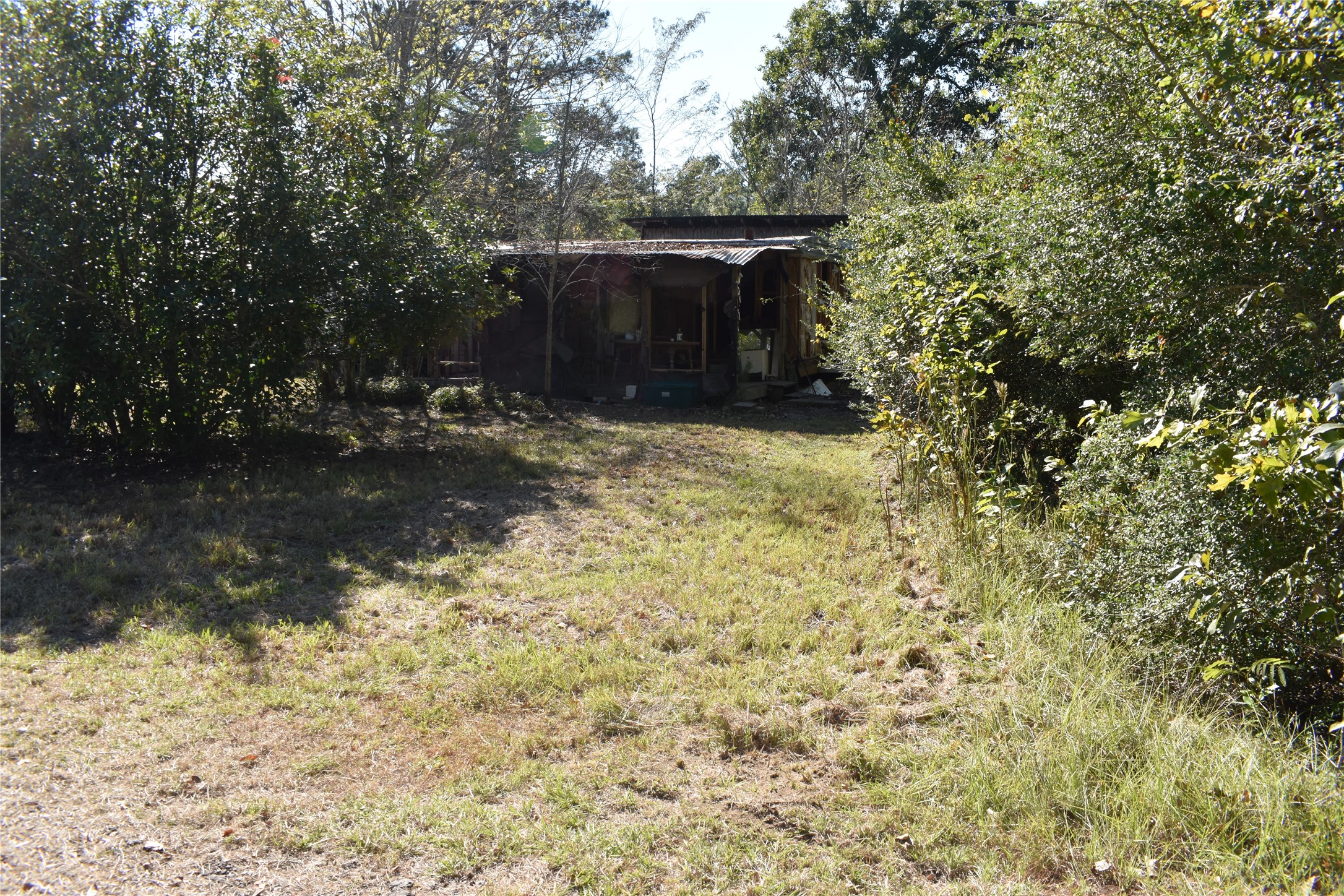 248 Apollo Street , Trinity, TX, 75862 | 67538673 | Realty Texas LLC