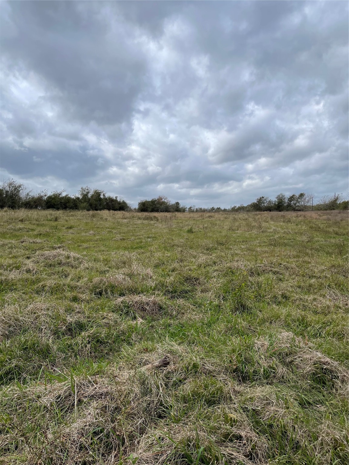 11810 S Reinecker Road , Wallis, TX, 77485 | 88218389 | Realty Texas LLC