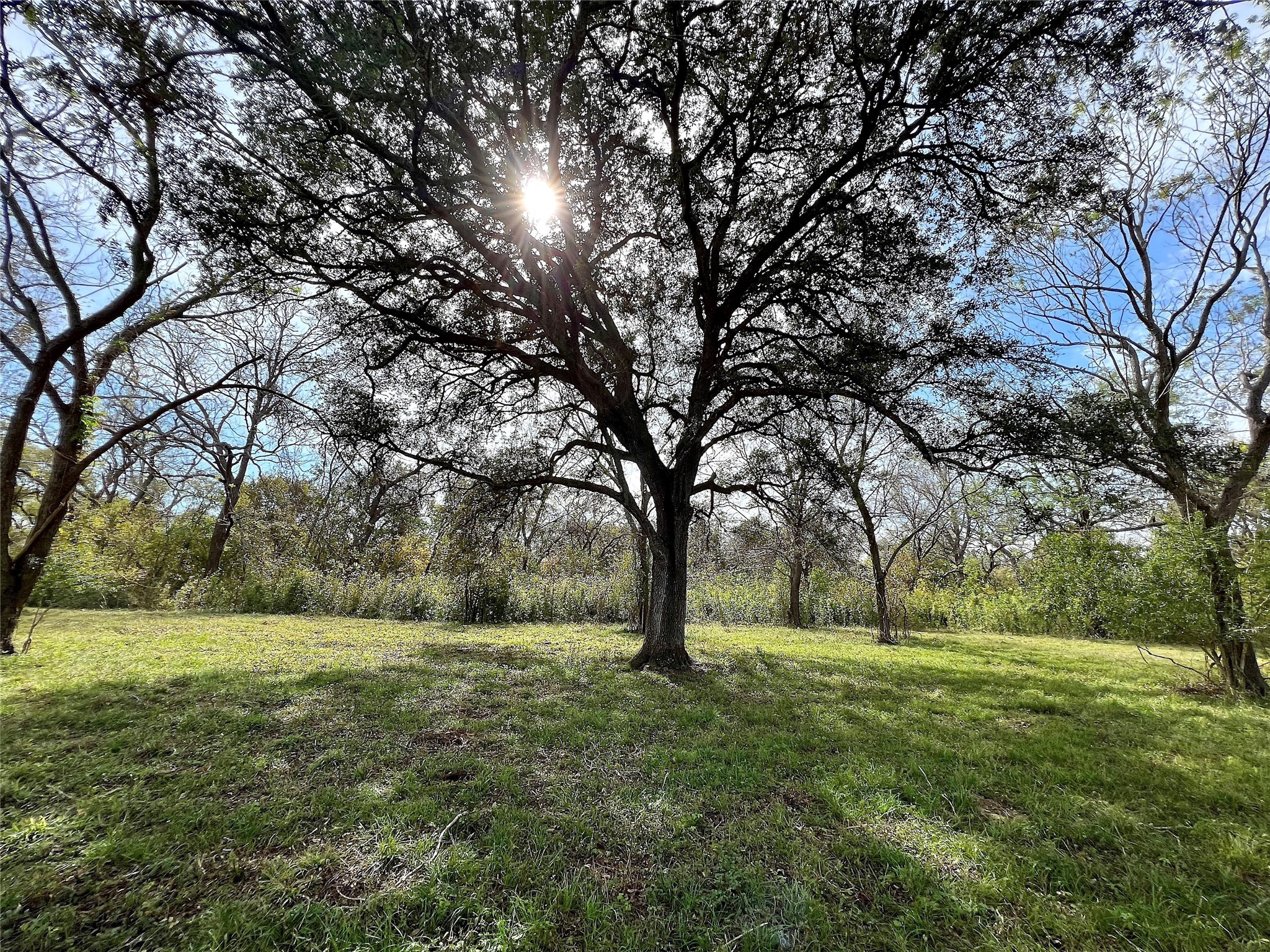 0 Hwy 35 E, Van Vleck, TX, 77482 | 77614345 | Realty Texas LLC