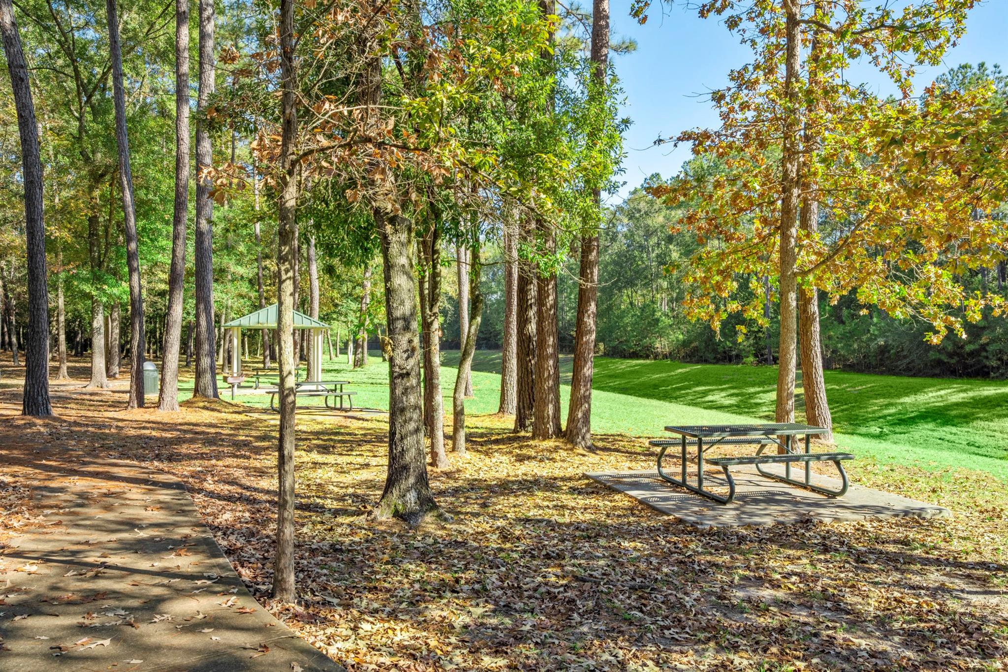 4028 Blenheim Terrace Lane , Spring, TX, 77386 | 3410015 | Realty Texas LLC