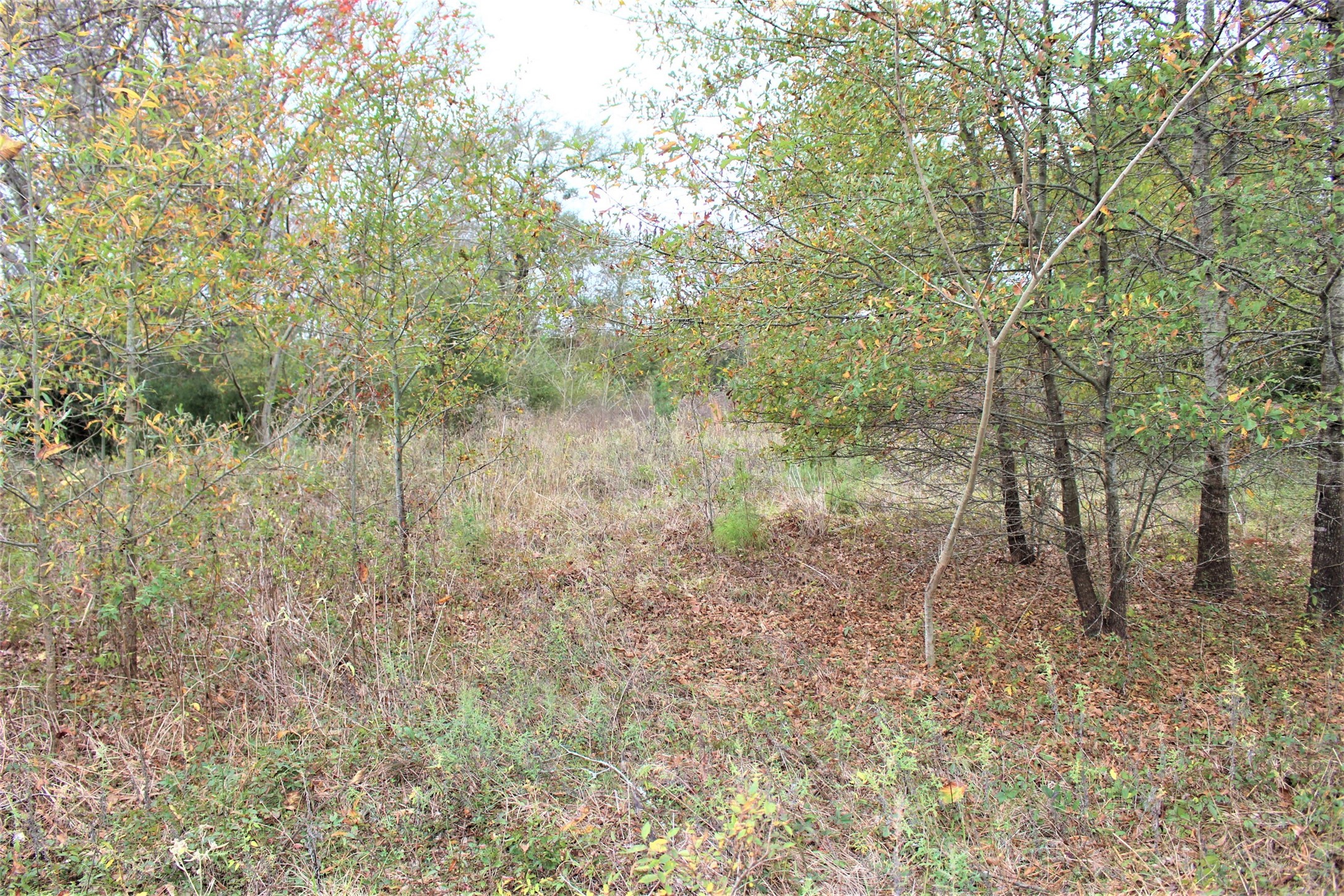 000 S State Highway 19 S , Crockett, TX, 75835 | 89452509 | Realty Texas LLC