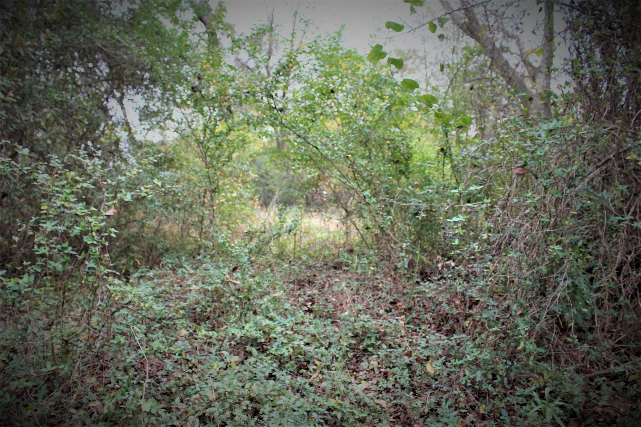 000 S State Highway 19 S , Crockett, TX, 75835 | 89452509 | Realty Texas LLC