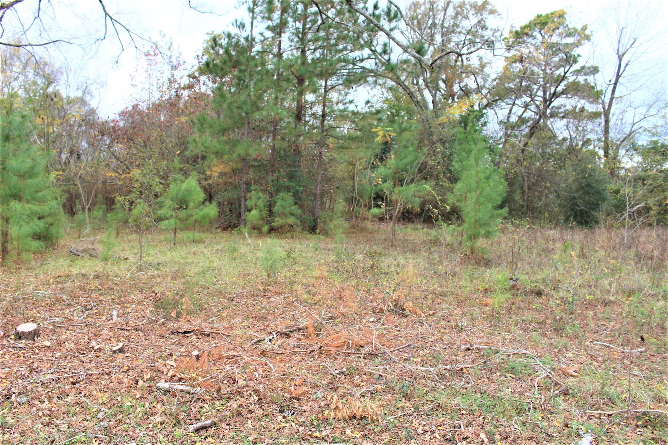 000 S State Highway 19 S , Crockett, TX, 75835 | 89452509 | Realty Texas LLC