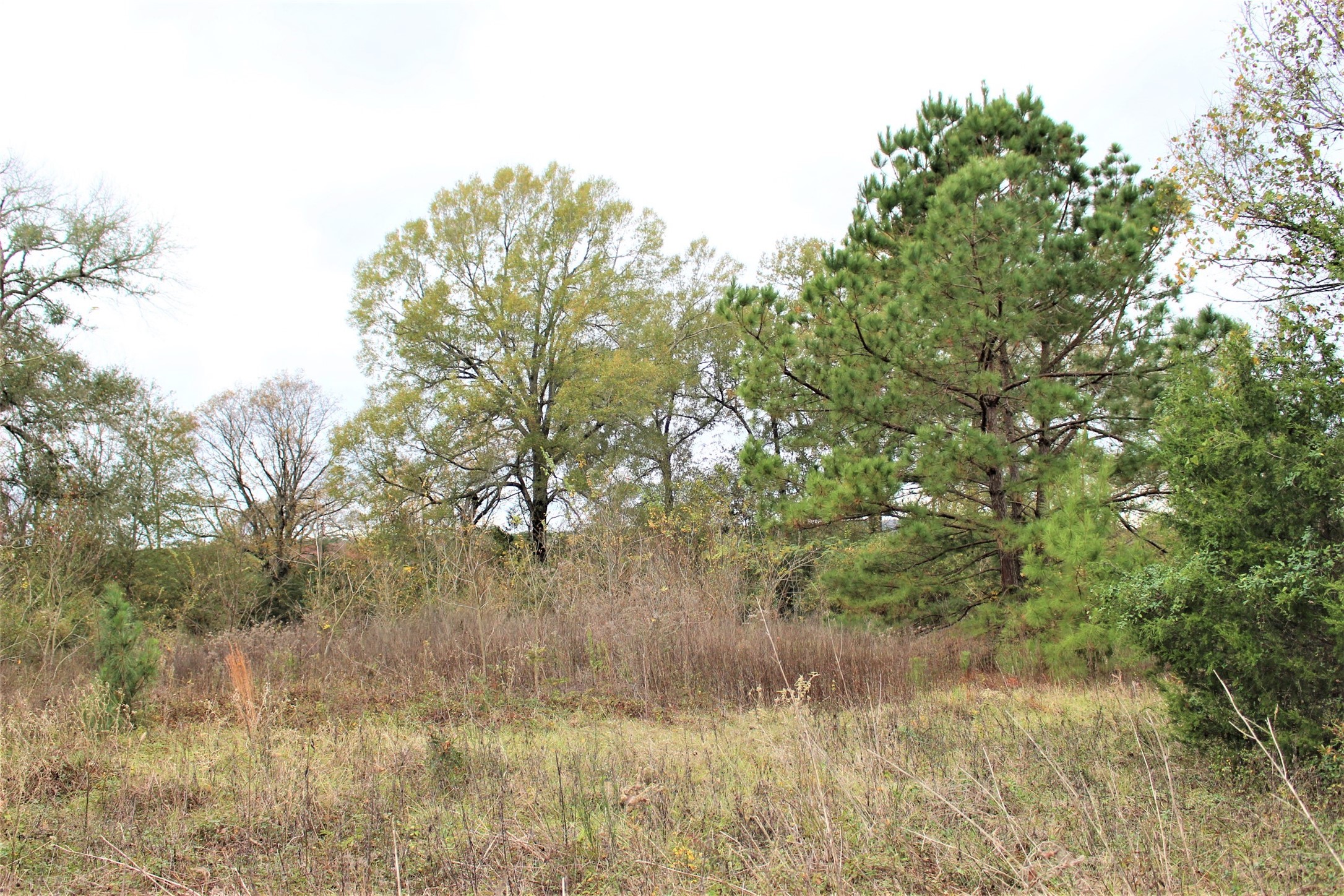 000 S State Highway 19 S , Crockett, TX, 75835 | 89452509 | Realty Texas LLC