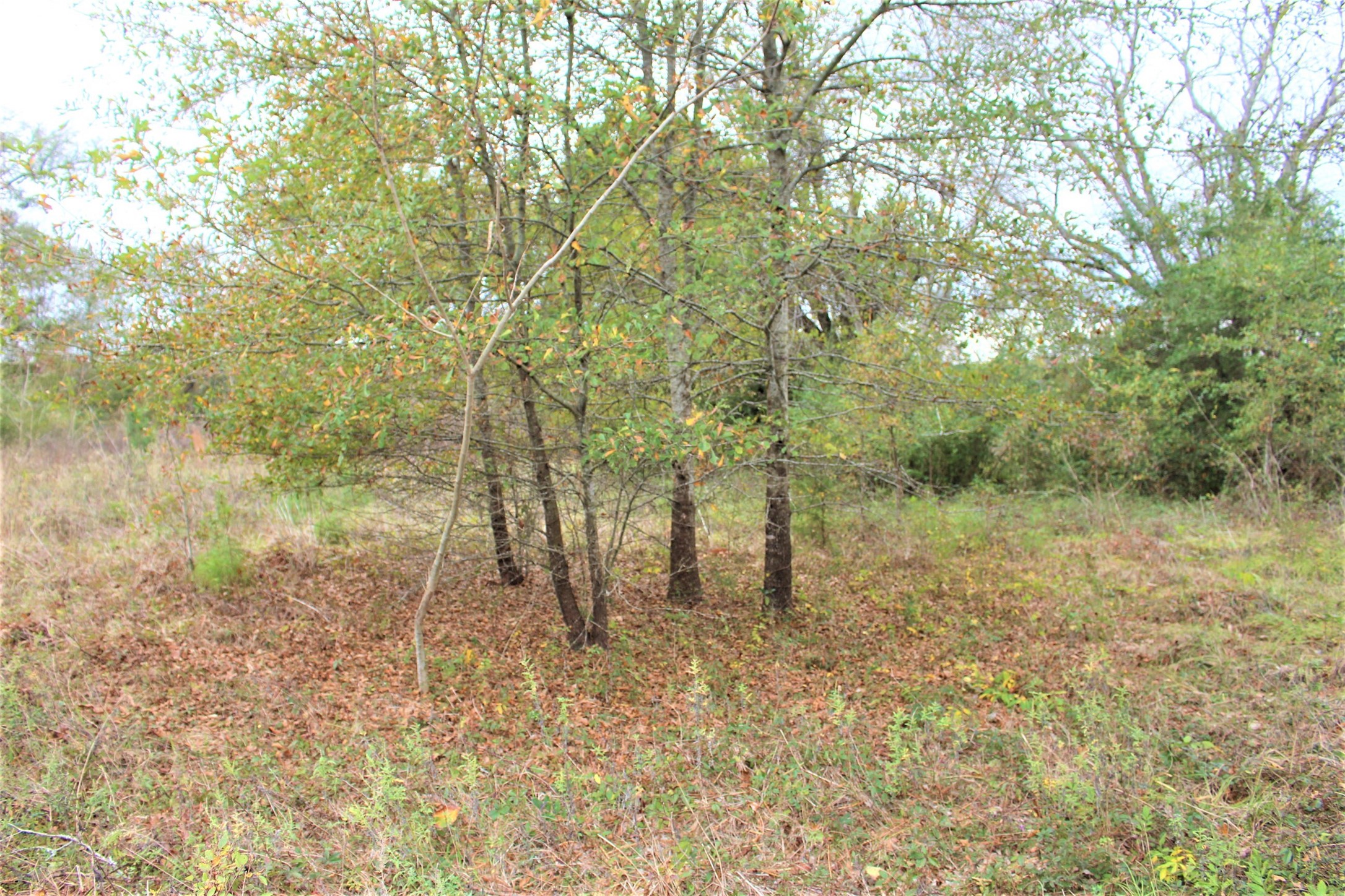 000 S State Highway 19 S , Crockett, TX, 75835 | 89452509 | Realty Texas LLC