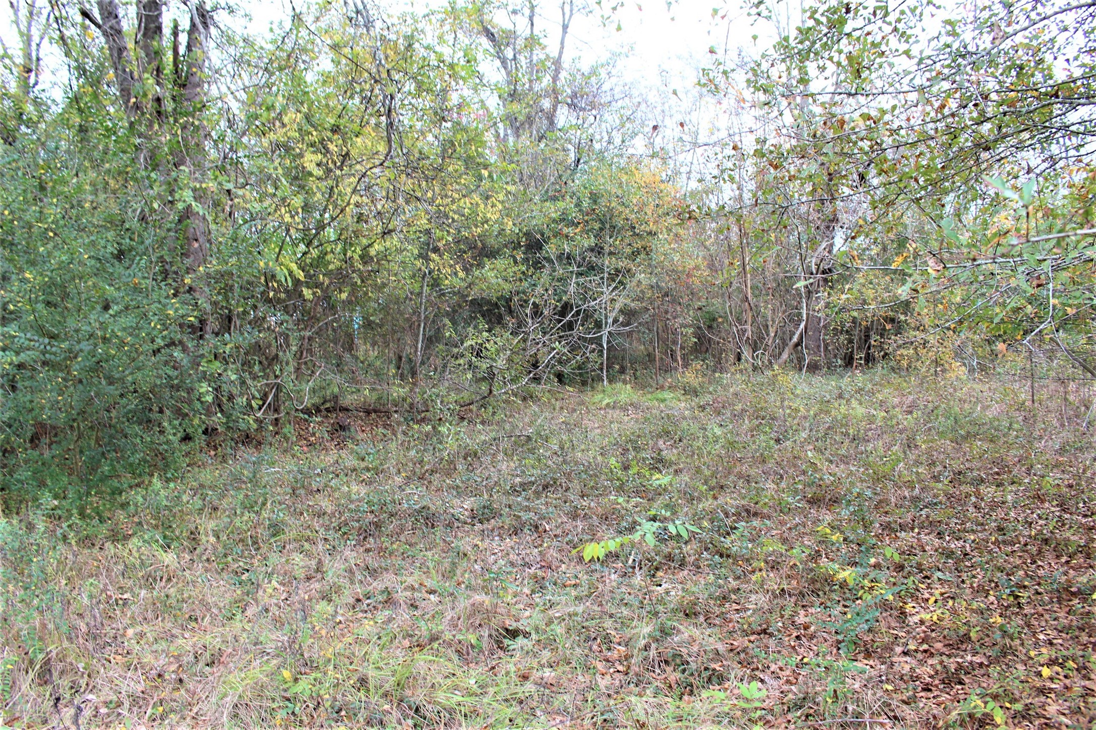 000 S State Highway 19 S , Crockett, TX, 75835 | 89452509 | Realty Texas LLC