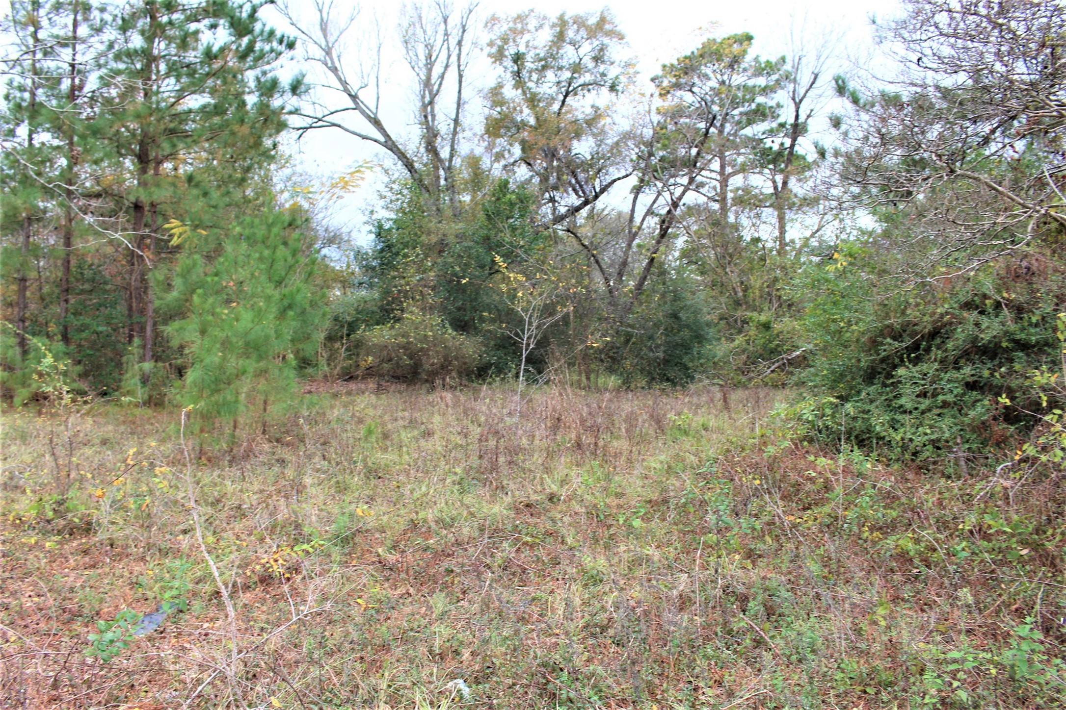 000 S State Highway 19 S , Crockett, TX, 75835 | 89452509 | Realty Texas LLC