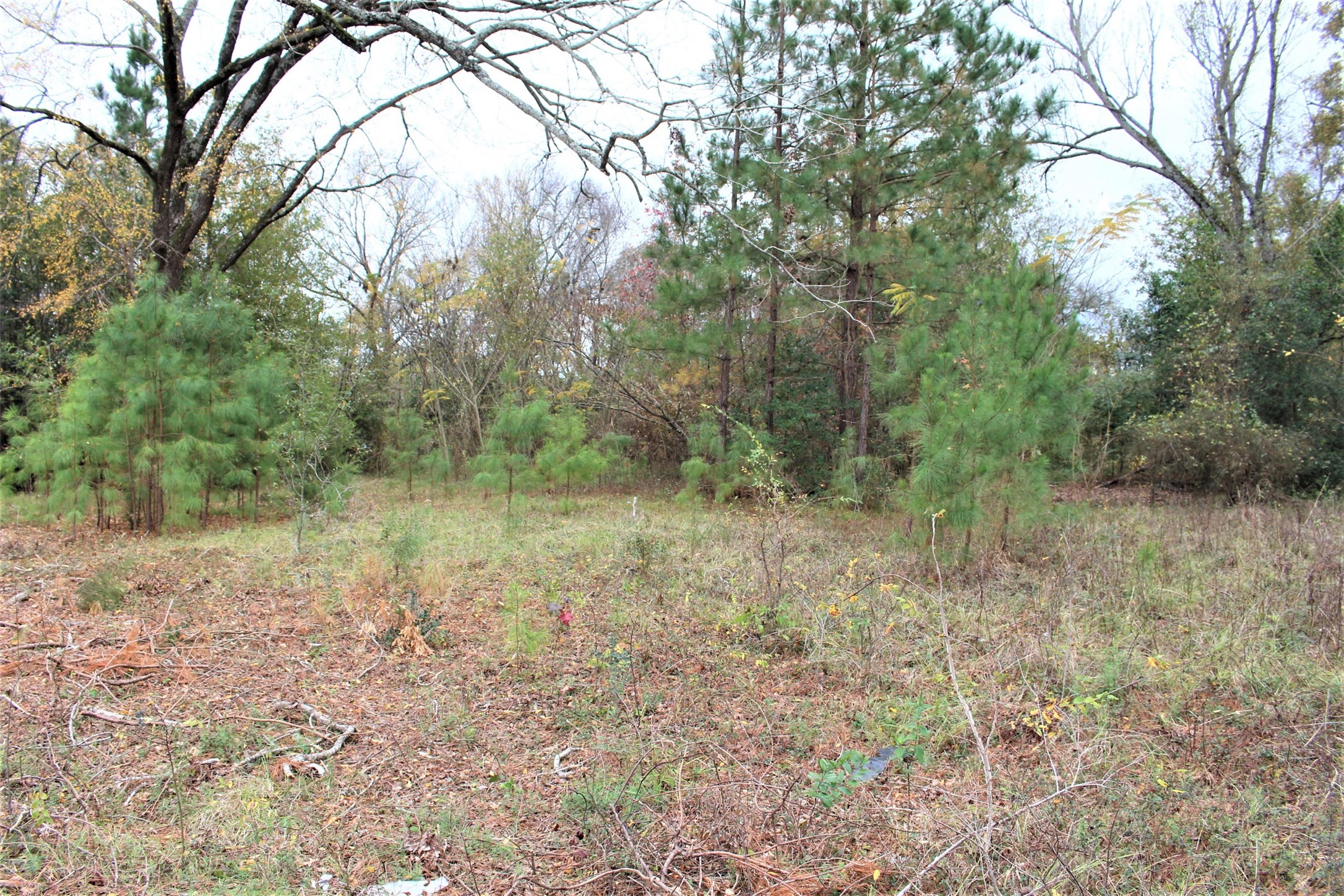 000 S State Highway 19 S , Crockett, TX, 75835 | 89452509 | Realty Texas LLC