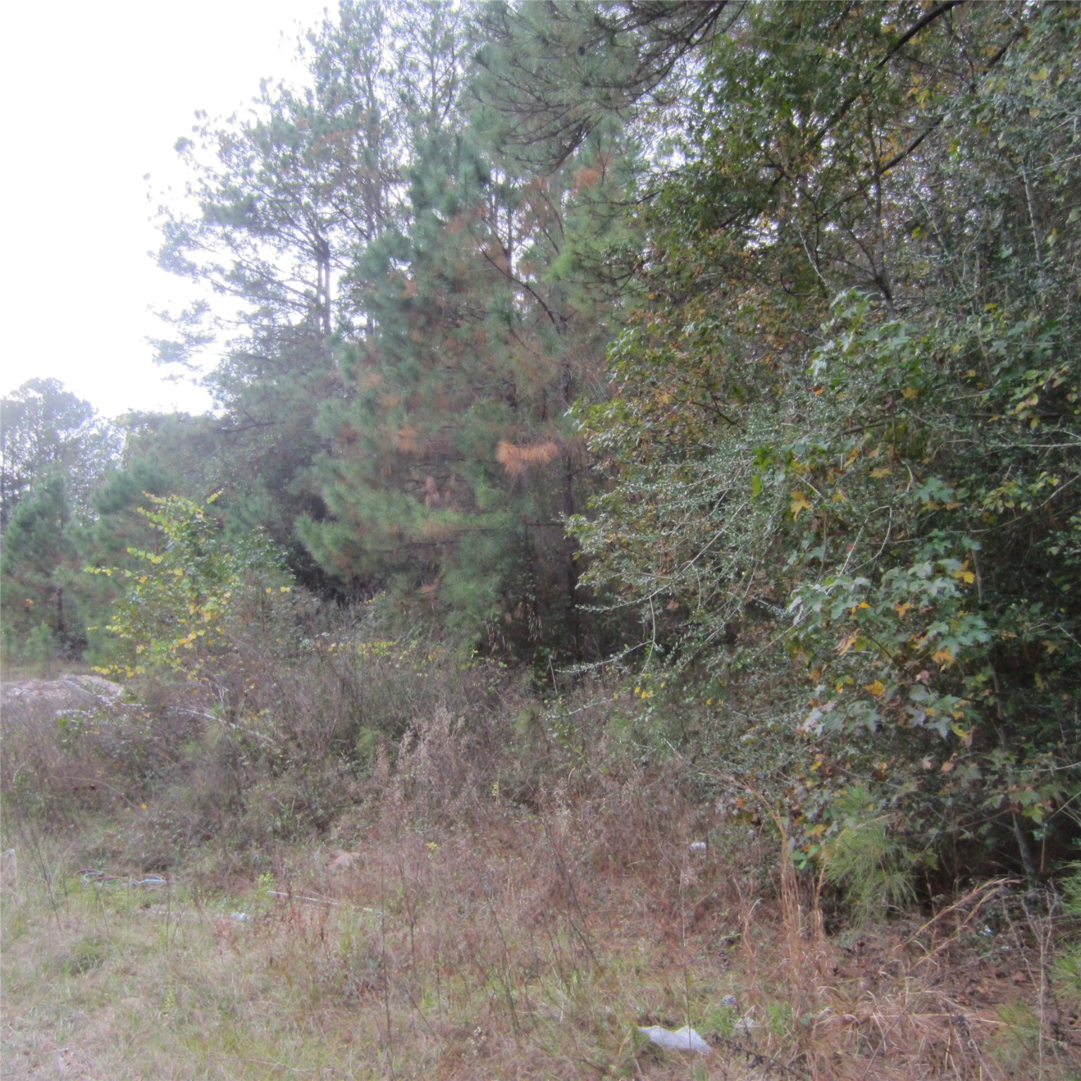 19100 Lincoln, New Caney, TX, 77357 | 60102837 | Realty Texas LLC