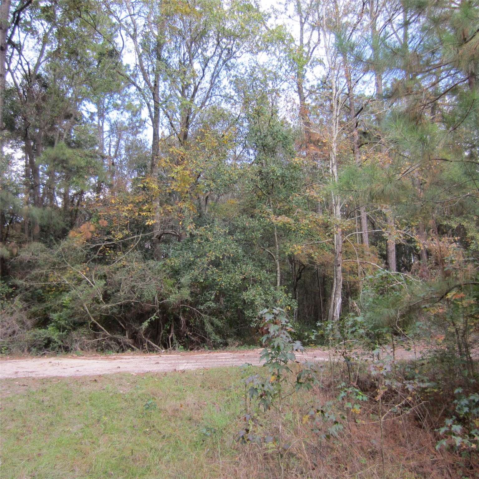 19100 Lincoln, New Caney, TX, 77357 | 60102837 | Realty Texas LLC