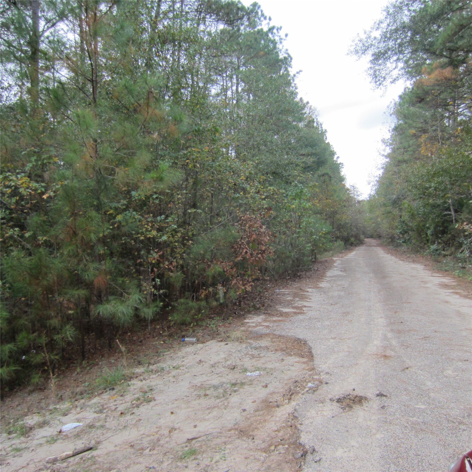 19100 Lincoln, New Caney, TX, 77357 | 60102837 | Realty Texas LLC