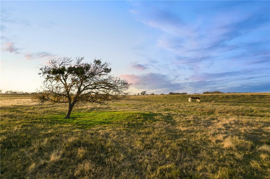 TBD County Line Parkway , Mart, TX, 76664 | 205075 | Realty Texas LLC