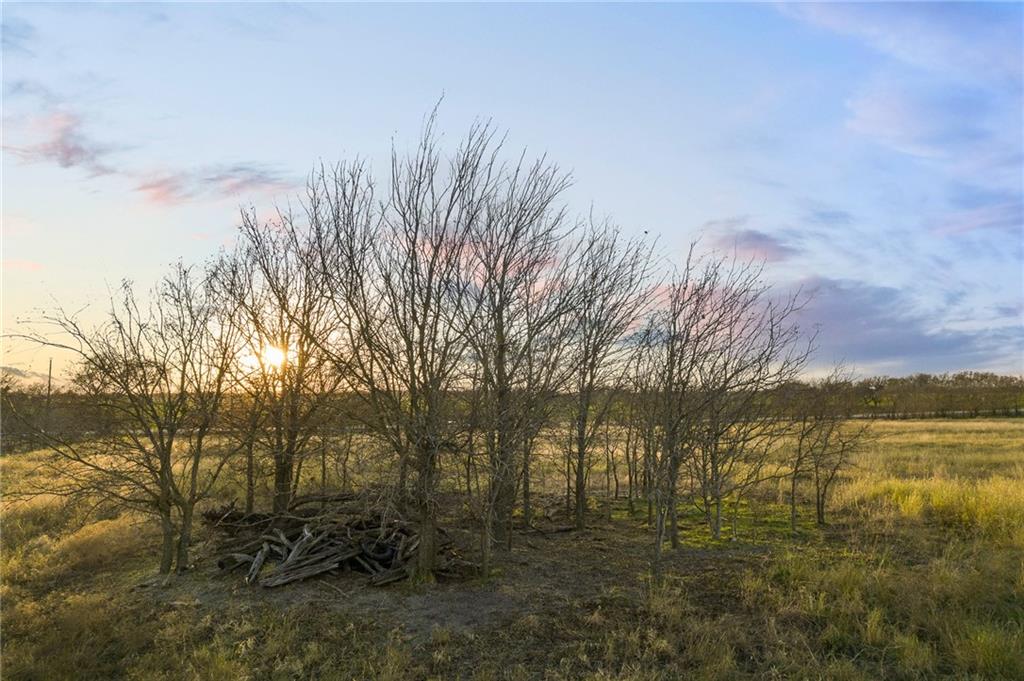 TBD County Line Parkway , Mart, TX, 76664 | 205075 | Realty Texas LLC