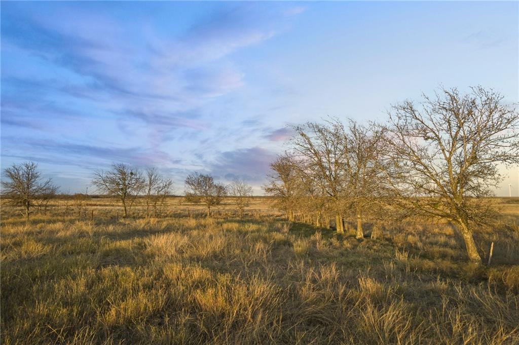 TBD County Line Parkway , Mart, TX, 76664 | 205075 | Realty Texas LLC