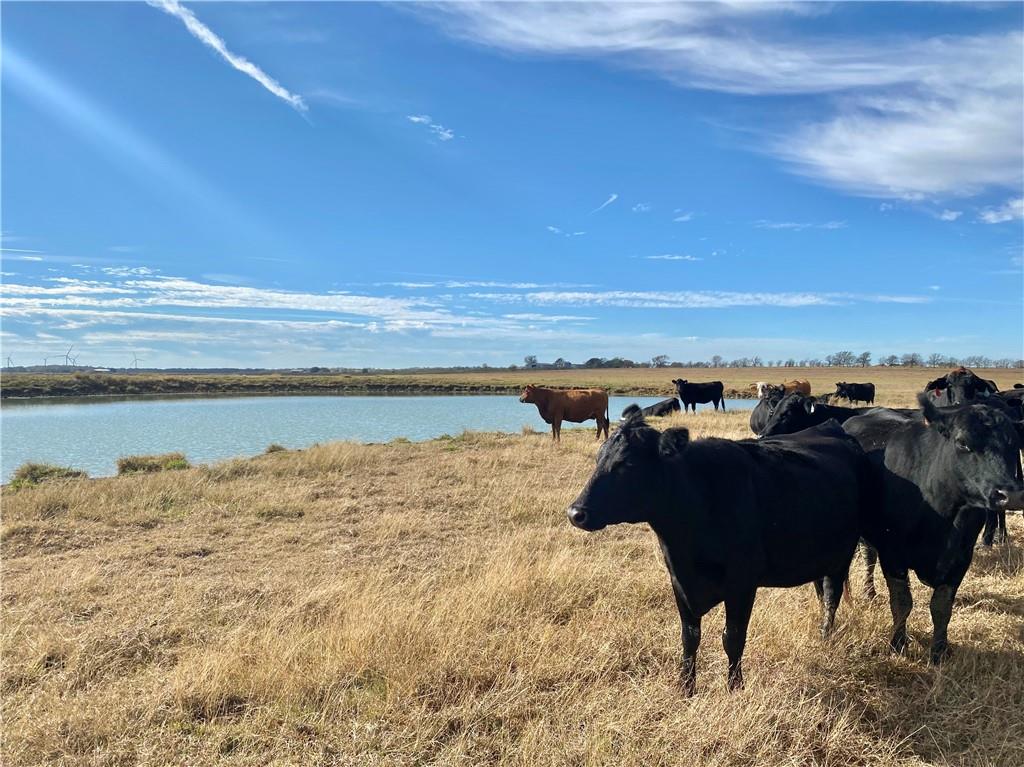 TBD County Line Parkway , Mart, TX, 76664 | 205075 | Realty Texas LLC