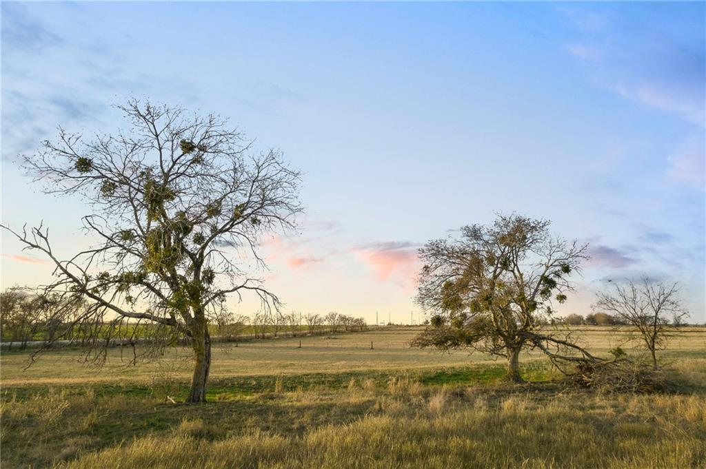 TBD County Line Parkway , Mart, TX, 76664 | 205075 | Realty Texas LLC