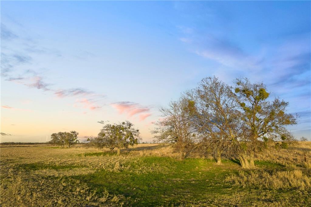 TBD County Line Parkway , Mart, TX, 76664 | 205075 | Realty Texas LLC