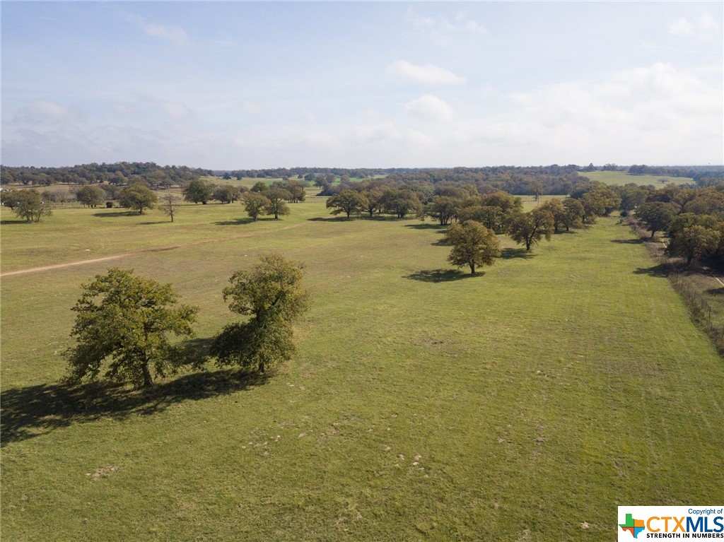 2901 Mule Creek Road , Harwood, TX, 78632 | 458991 | Realty Texas LLC