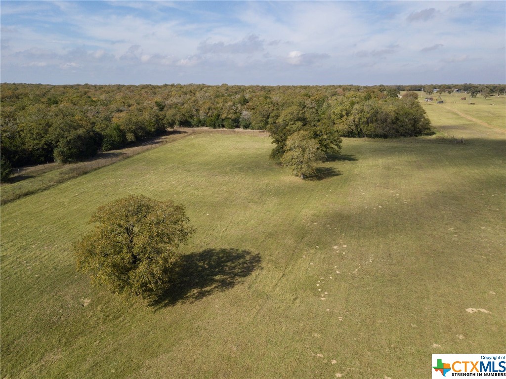 2901 Mule Creek Road , Harwood, TX, 78632 | 458991 | Realty Texas LLC