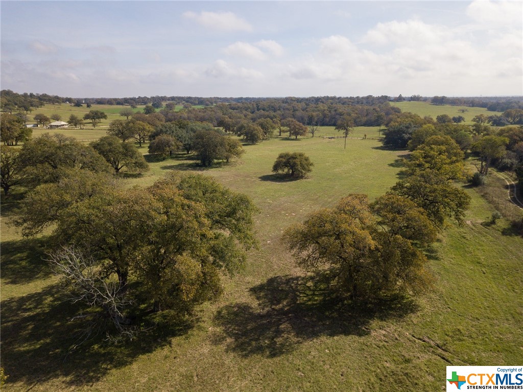 2901 Mule Creek Road , Harwood, TX, 78632 | 458991 | Realty Texas LLC