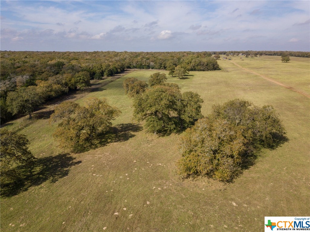 2901 Mule Creek Road , Harwood, TX, 78632 | 458991 | Realty Texas LLC