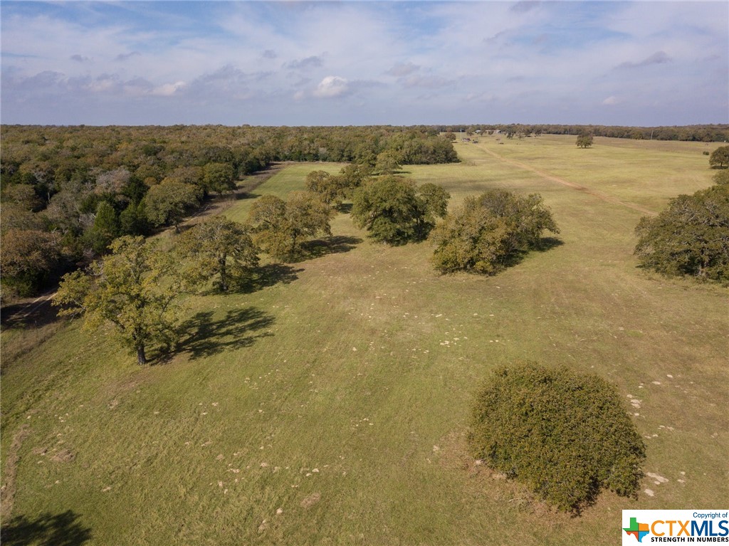 2901 Mule Creek Road , Harwood, TX, 78632 | 458991 | Realty Texas LLC