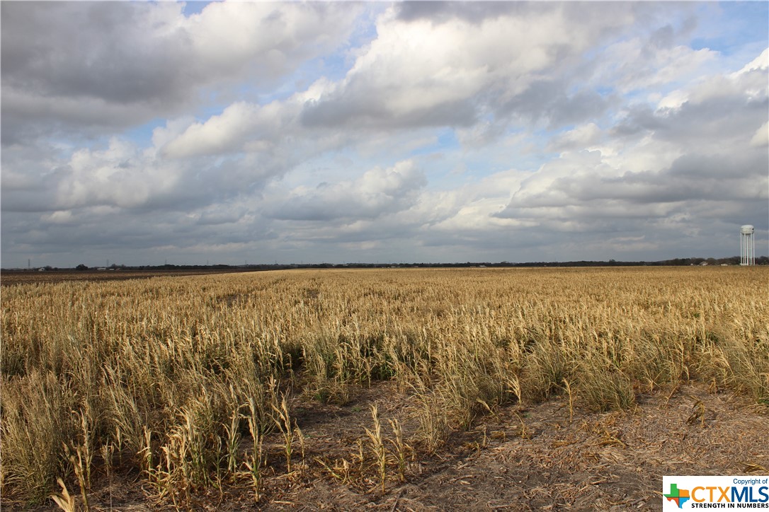 TBD Friedens Church & Link Rd Road , Seguin, TX, 78155 | 458581 | Realty Texas LLC