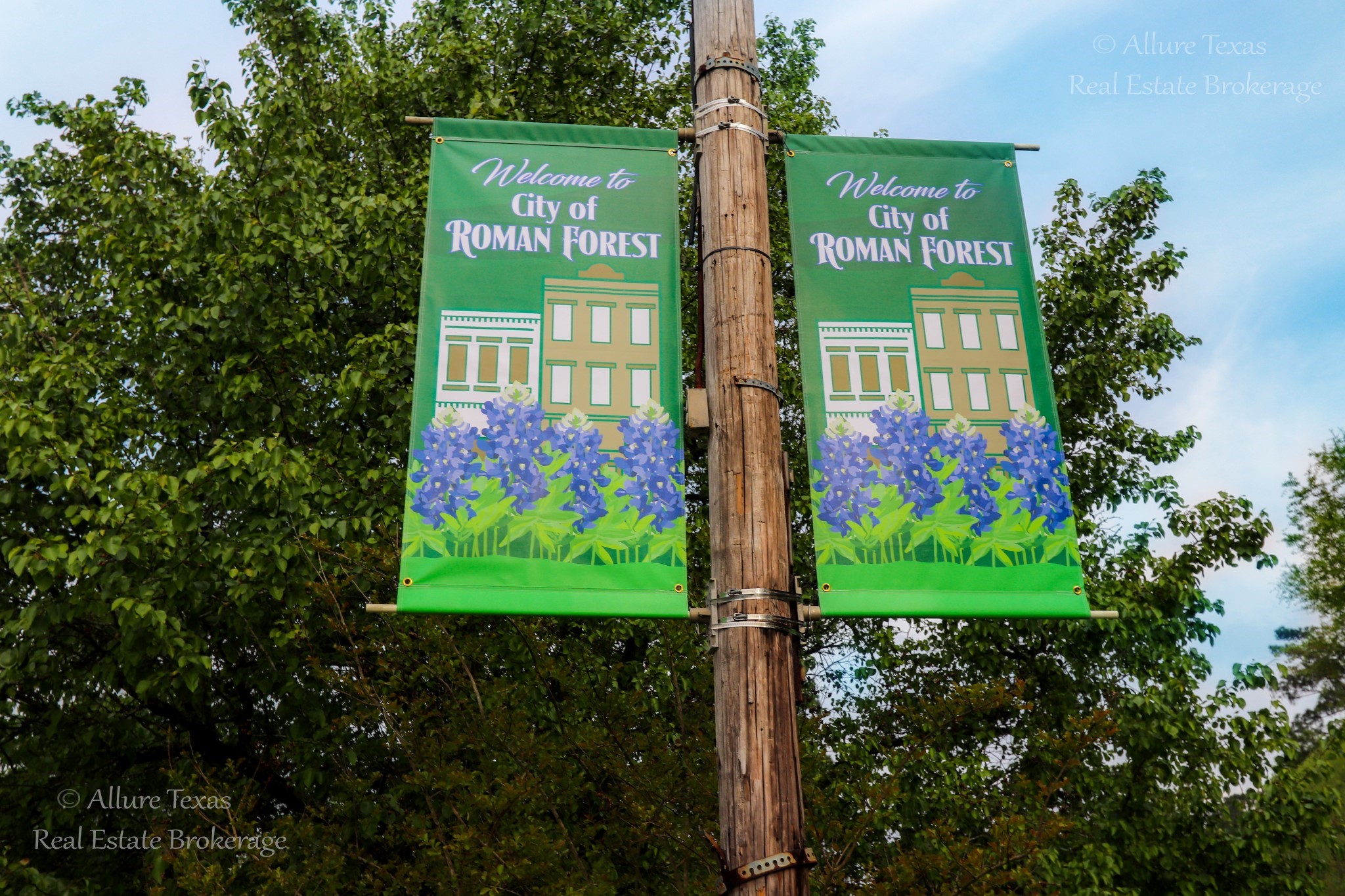 Lot 1-2 Appian Way, Roman Forest, TX, 77357 | 81478288 | Realty Texas LLC