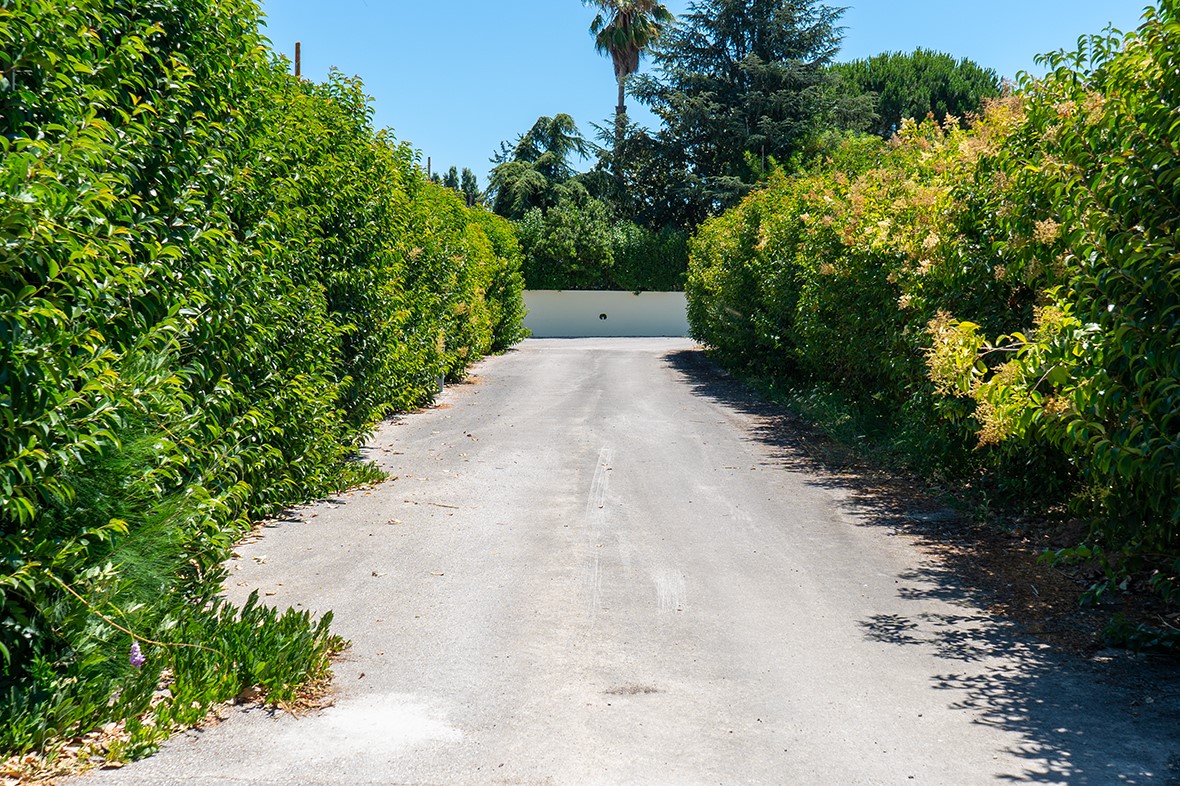 22 Estrada Fernando Po , Other, OS, 00000 | 81316141 | Realty Texas LLC