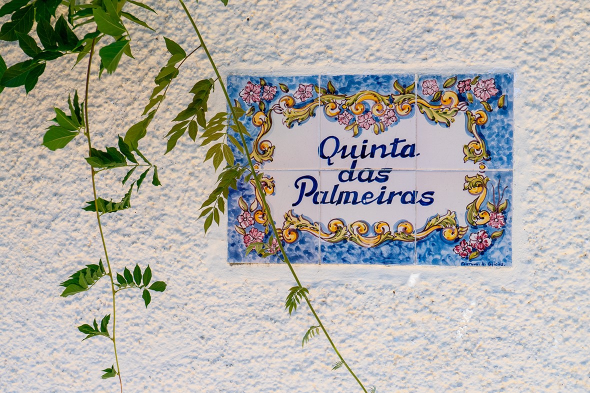 22 Estrada Fernando Po , Other, OS, 00000 | 81316141 | Realty Texas LLC