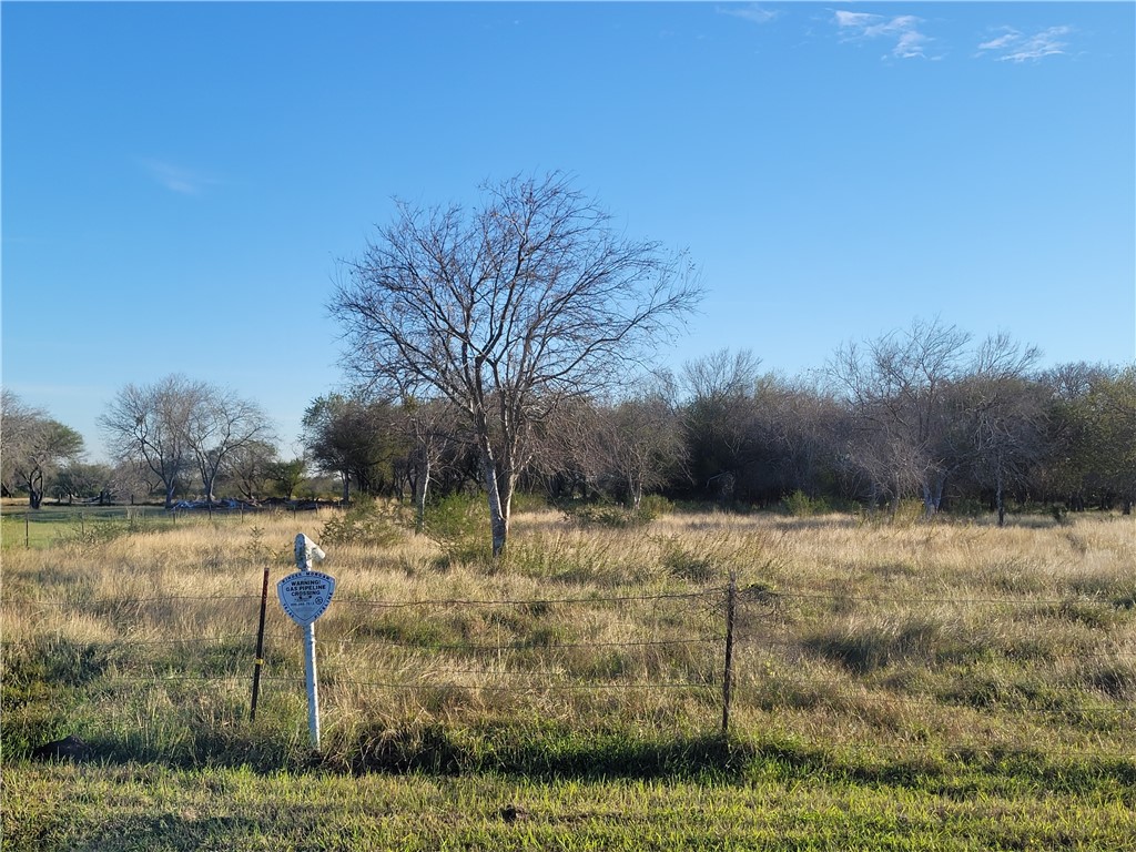 LT 37 Fm 1945, Sinton, TX, 78387 | 391987 | Realty Texas LLC