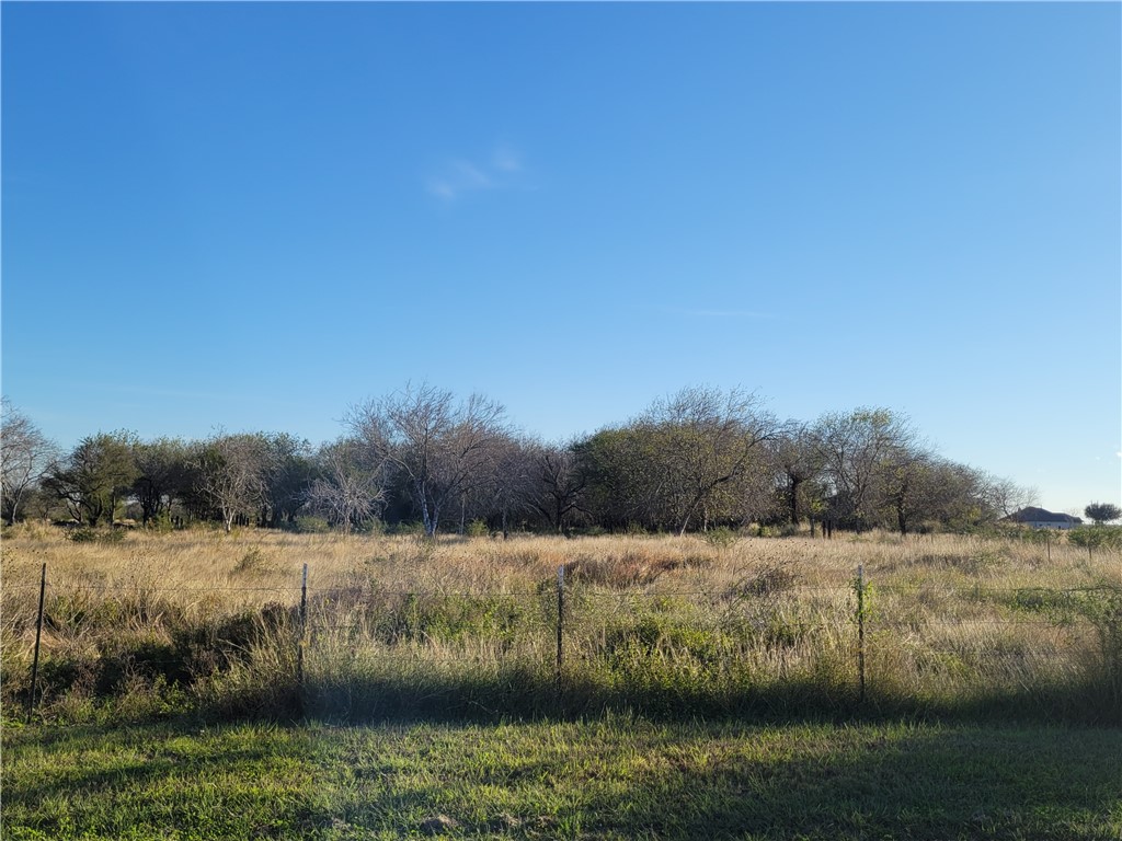 14949 Fm 1945, Sinton, TX, 78387 | 392026 | Realty Texas LLC