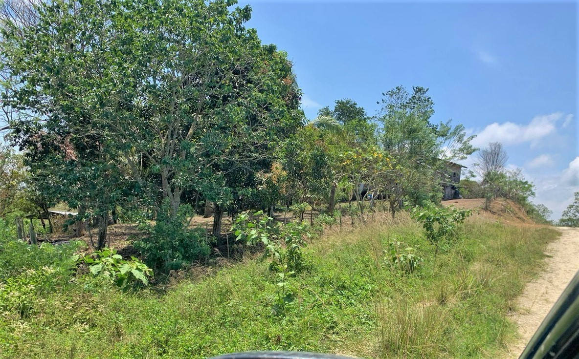 TBD E15 Lagarto - Vainilla, Other, OS, TBD | 33347128 | Realty Texas LLC