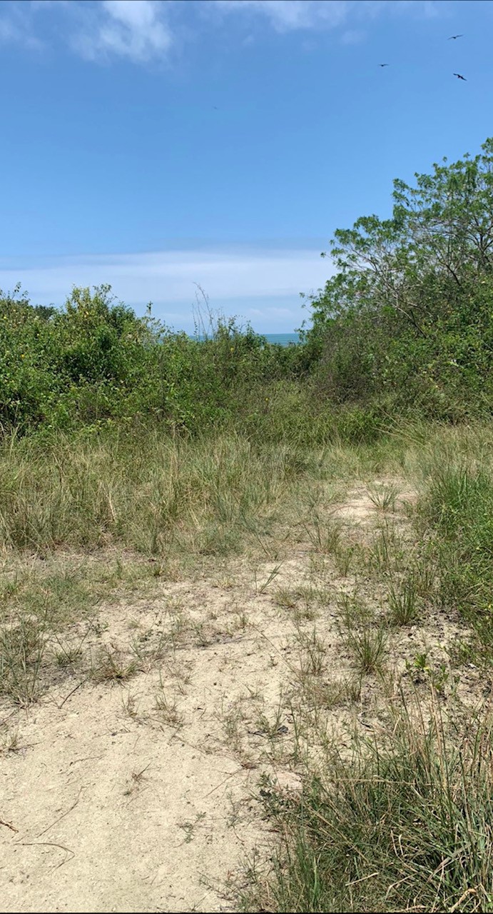 TBD E15 Lagarto - Vainilla, Other, OS, TBD | 33347128 | Realty Texas LLC