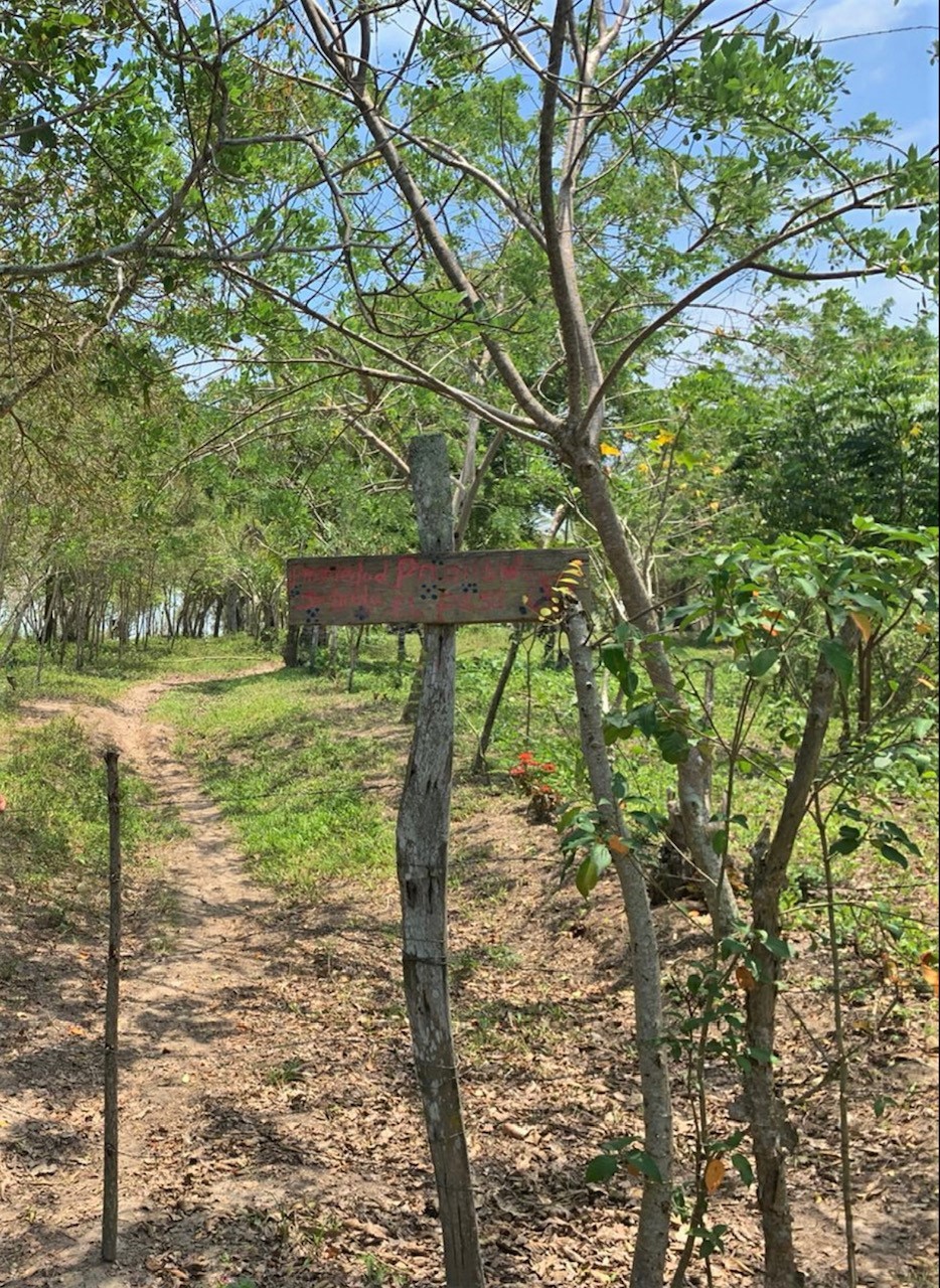 TBD E15 Lagarto - Vainilla, Other, OS, TBD | 33347128 | Realty Texas LLC