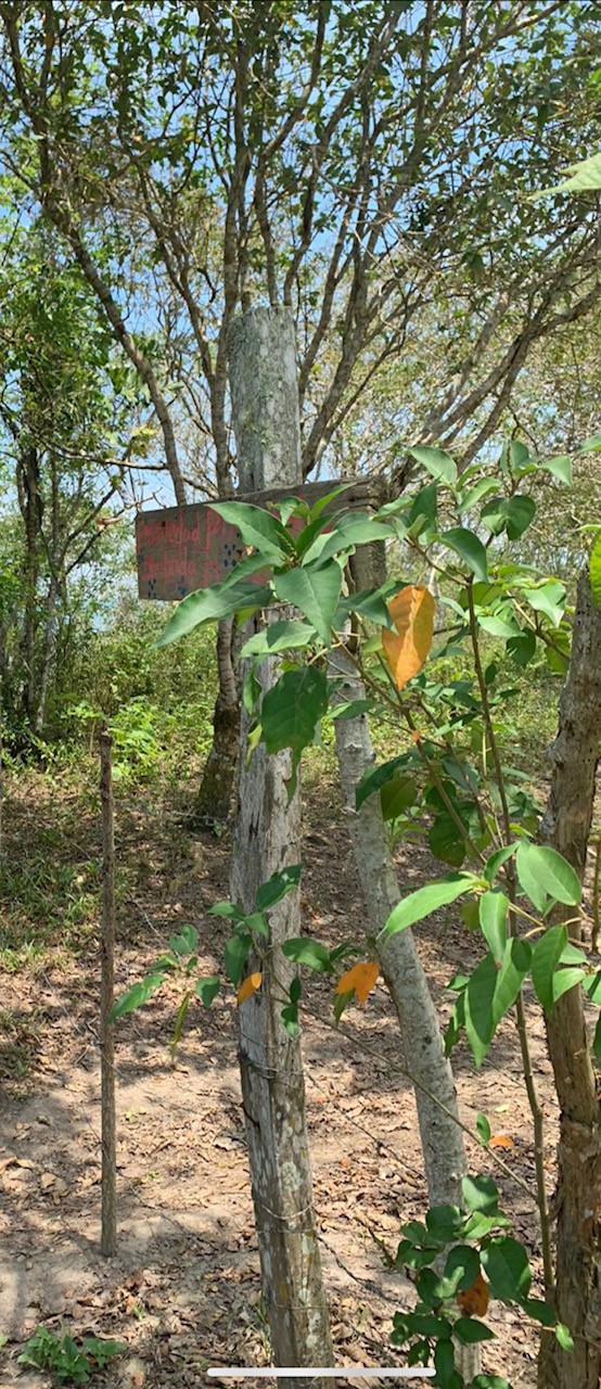 TBD E15 Lagarto - Vainilla, Other, OS, TBD | 33347128 | Realty Texas LLC