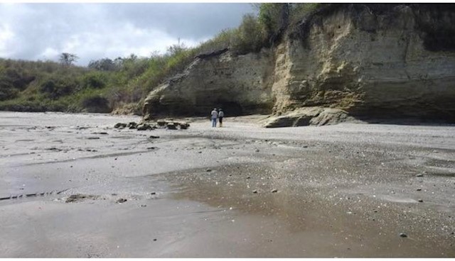 TBD E15 Lagarto - Vainilla, Other, OS, TBD | 33347128 | Realty Texas LLC